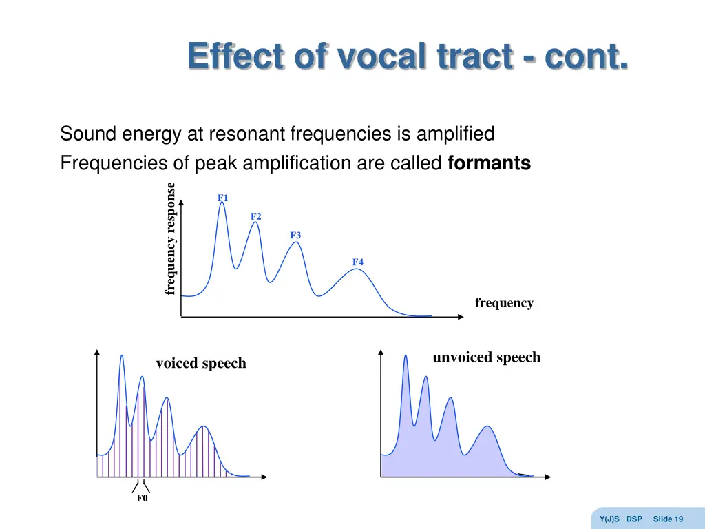 effect of vocal tract cont