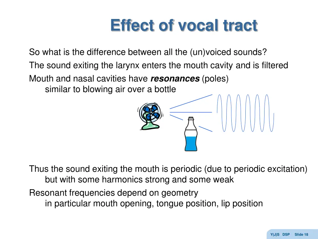 effect of vocal tract