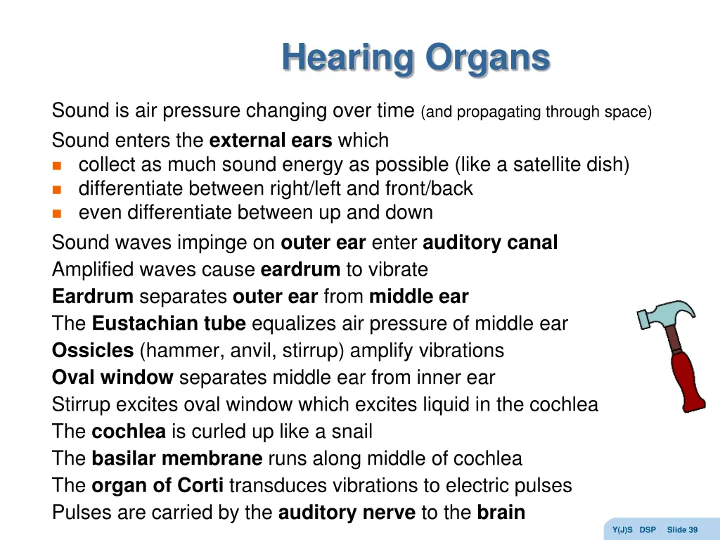 hearing organs 1