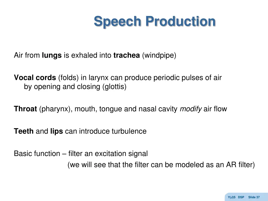 speech production