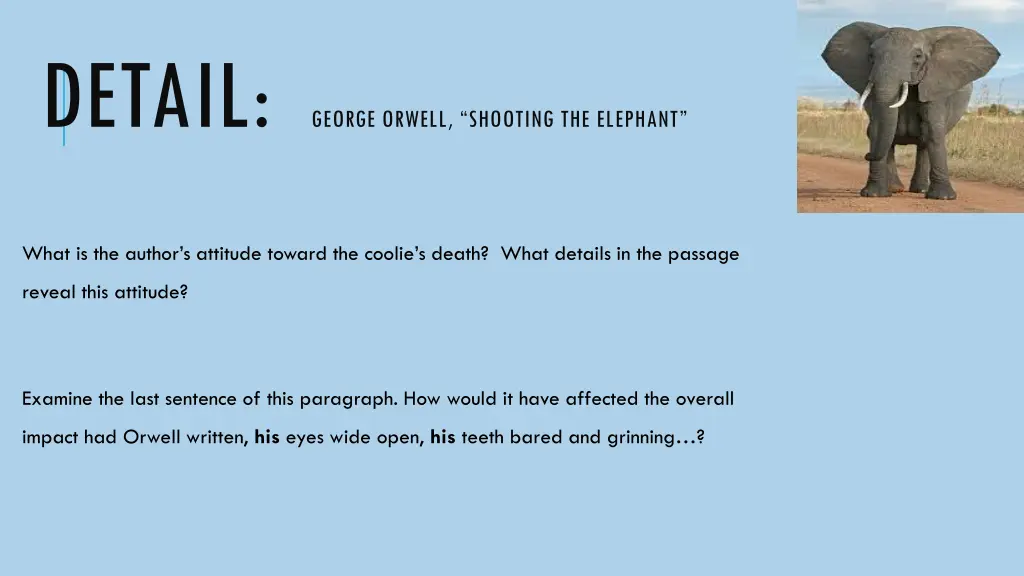 detail george orwell shooting the elephant 1