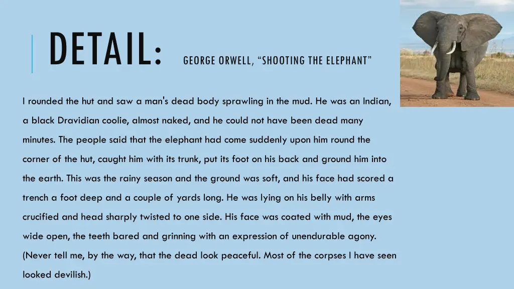 detail george orwell shooting the elephant