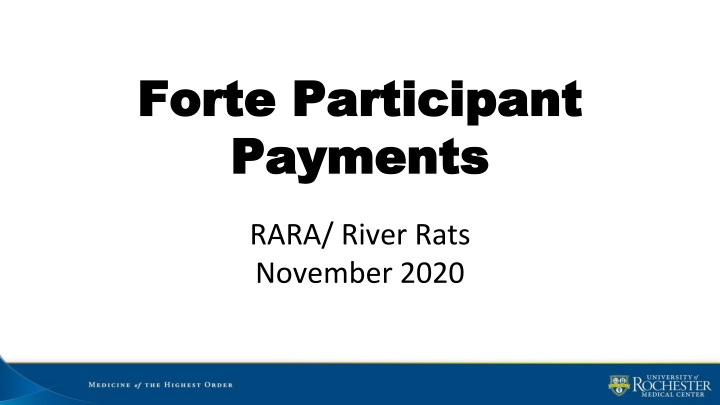 forte participant forte participant payments