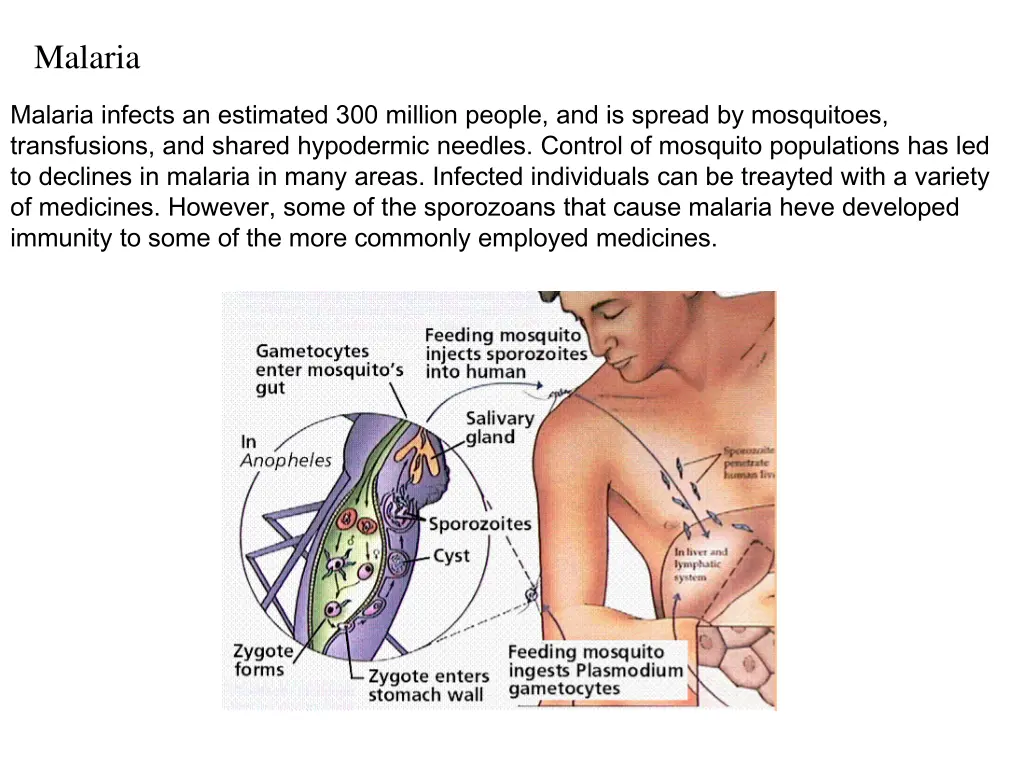 malaria