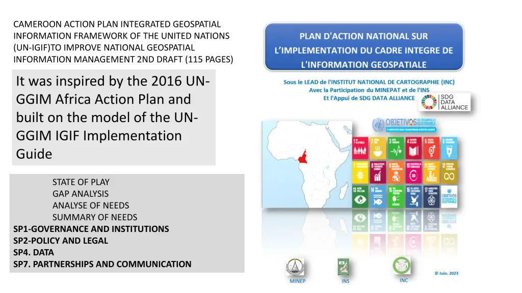 cameroon action plan integrated geospatial