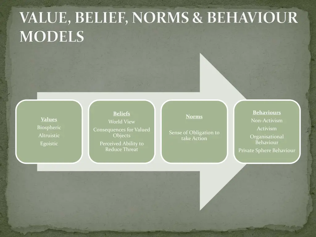 value belief norms behaviour models