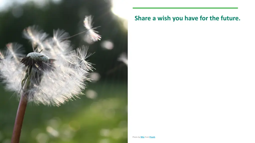 share a wish you have for the future