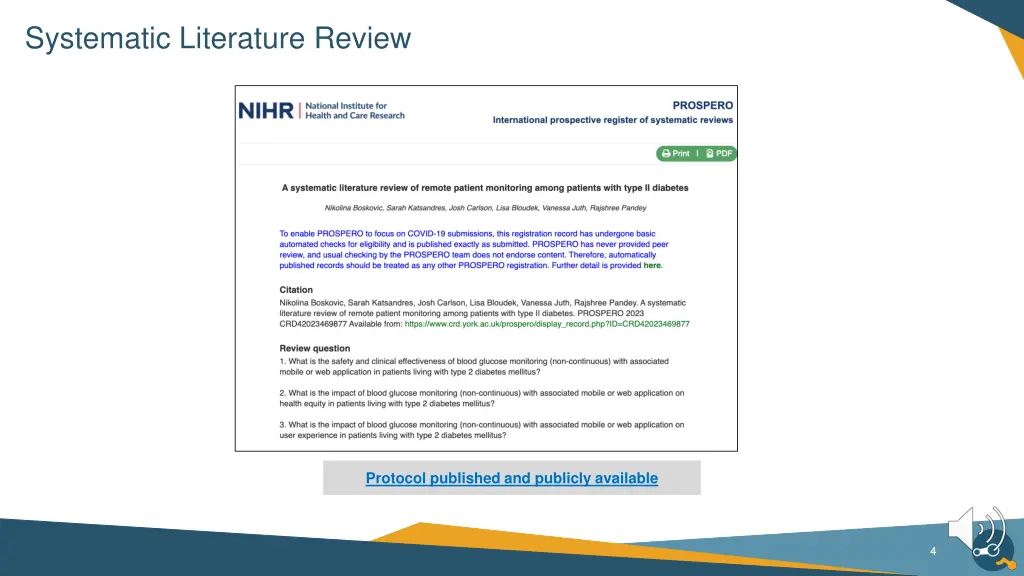 systematic literature review