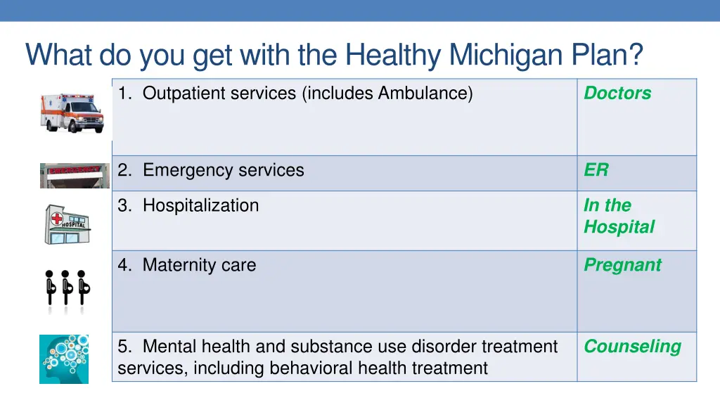 what do you get with the healthy michigan plan