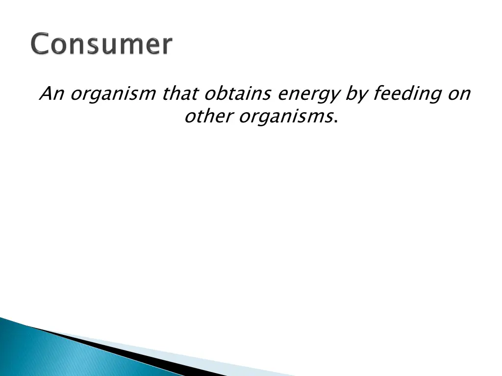 an organism that obtains energy by feeding