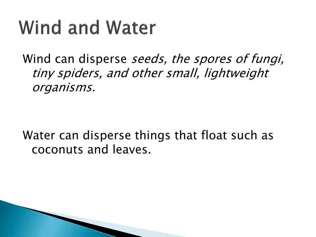 wind can disperse seeds the spores of fungi tiny