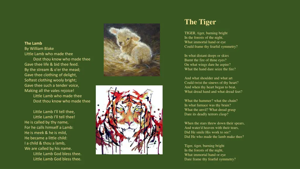 the tiger