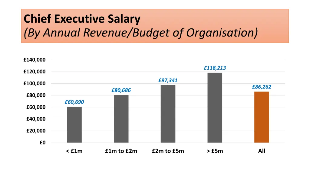 chief executive salary by annual revenue budget