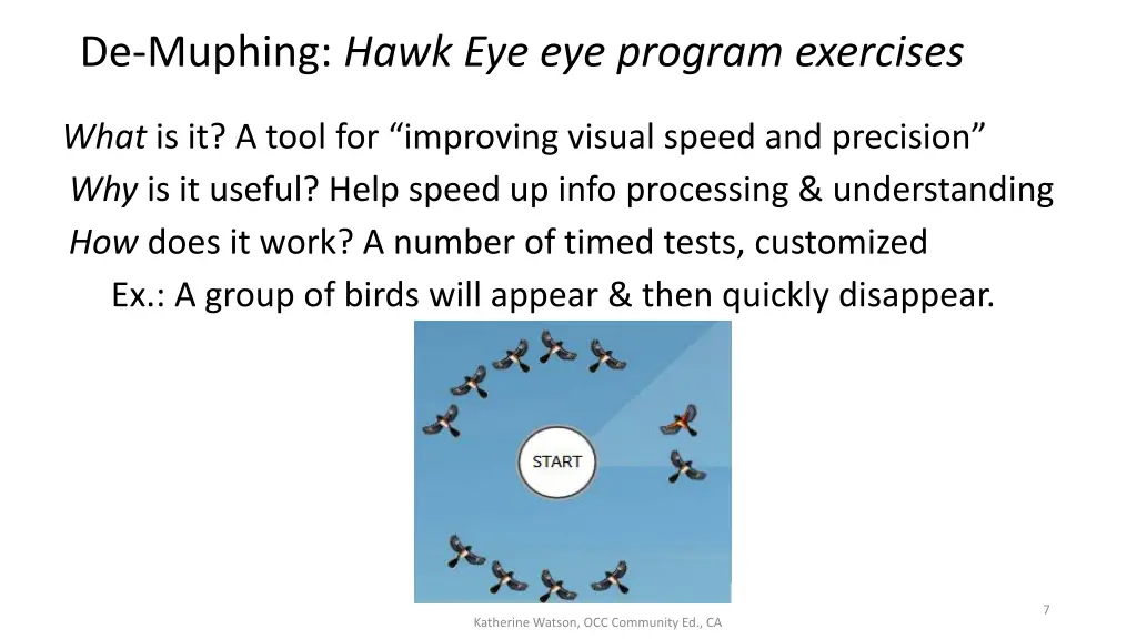 de muphing hawk eye eye program exercises