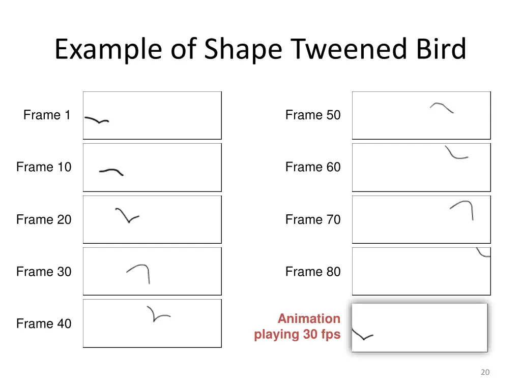 example of shape tweened bird