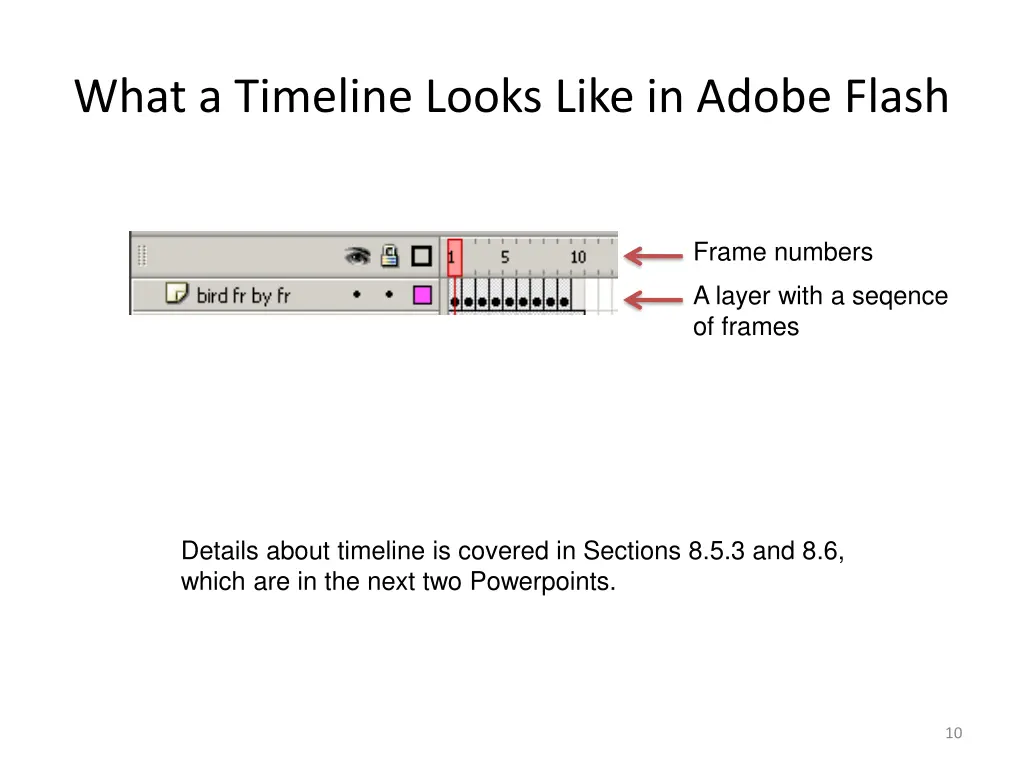 what a timeline looks like in adobe flash