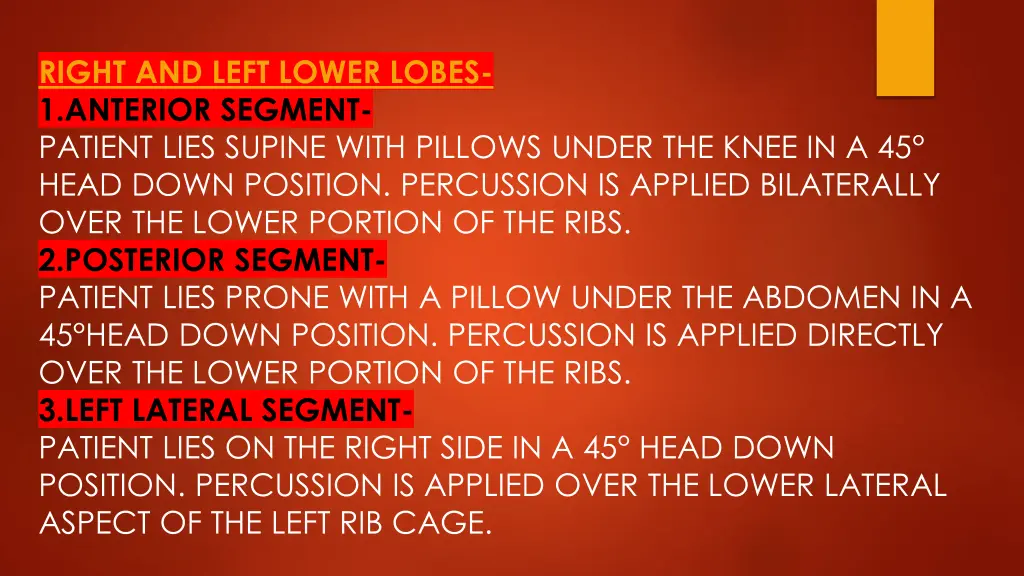 right and left lower lobes 1 anterior segment