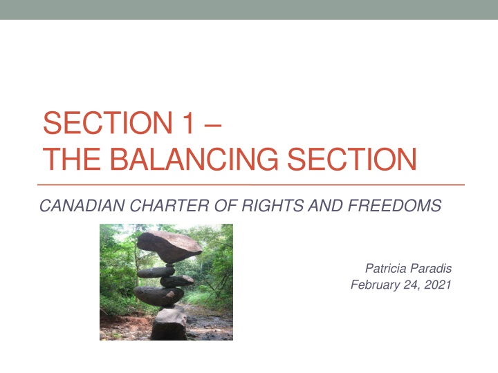 section 1 the balancing section