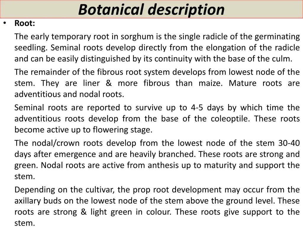 botanical description