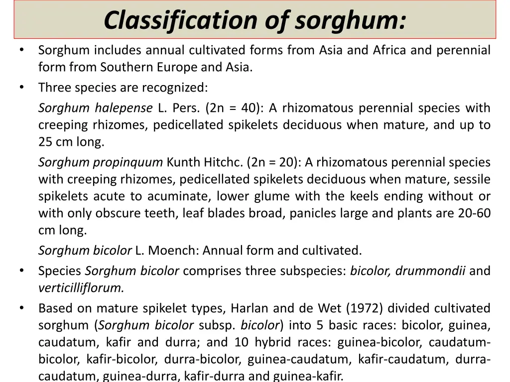 classification of sorghum