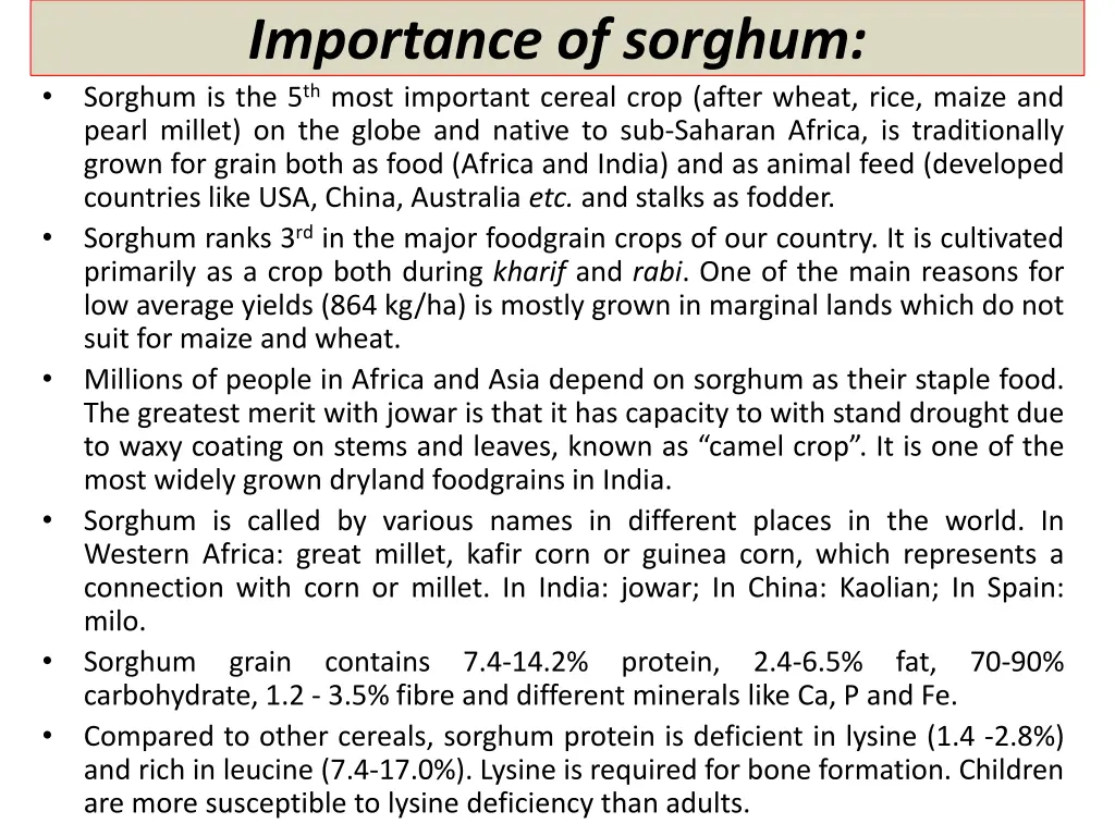 importance of sorghum sorghum is the 5 th most