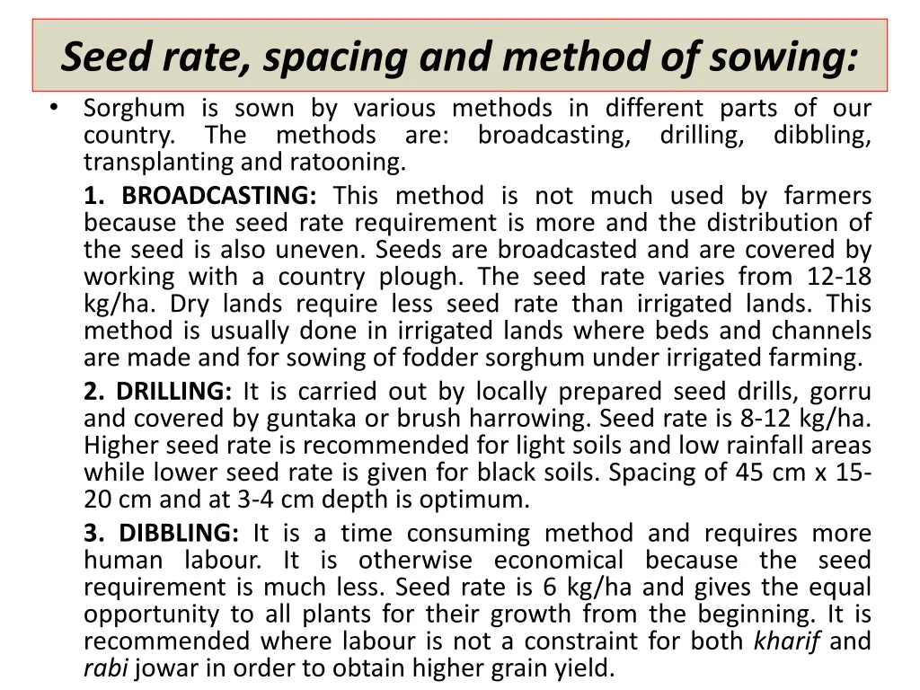 seed rate spacing and method of sowing sorghum