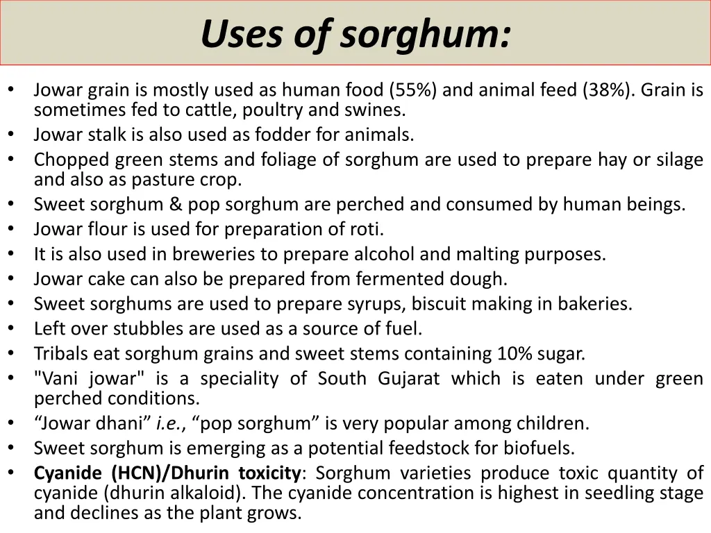 uses of sorghum