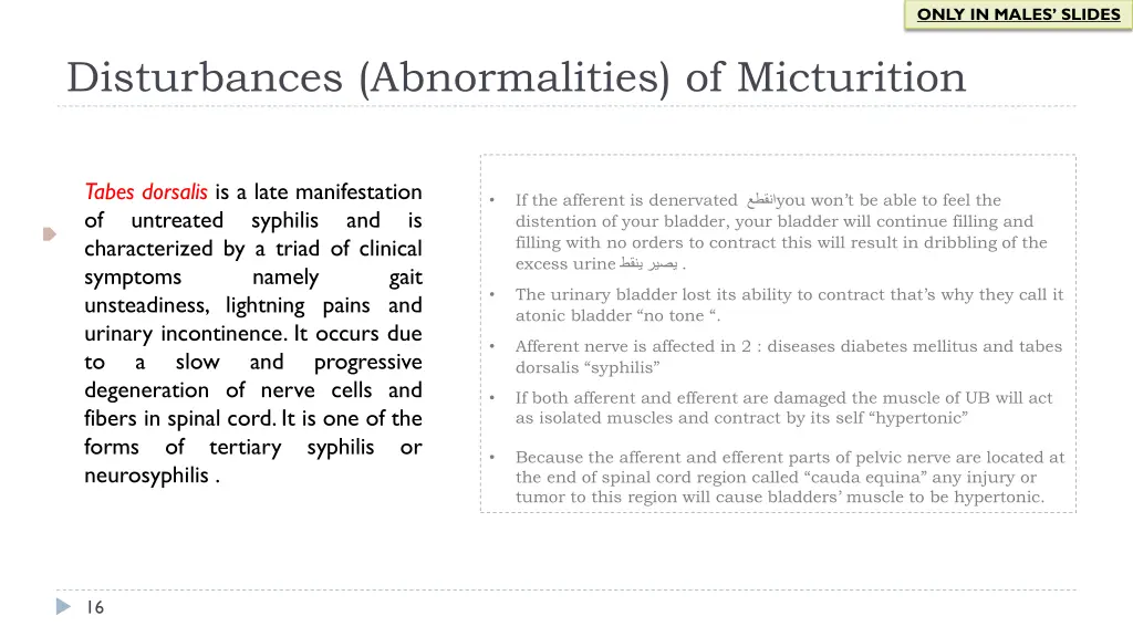 only in males slides 2