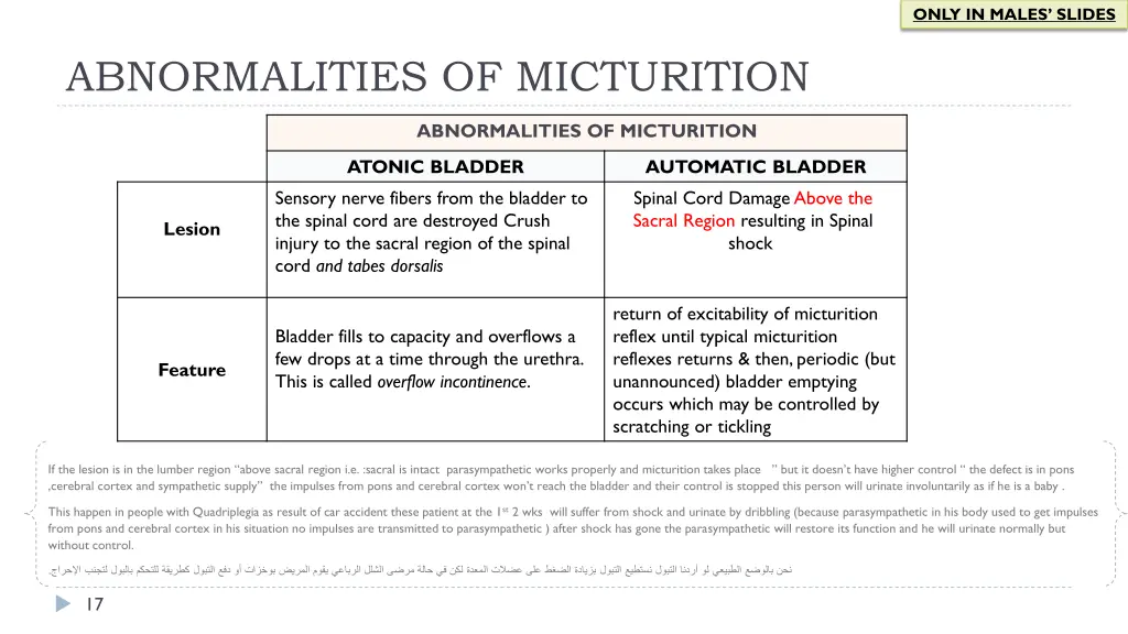 only in males slides 3