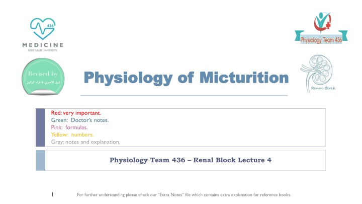 physiology physiology of micturition