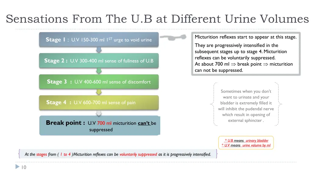 sensations from the u b at different urine volumes