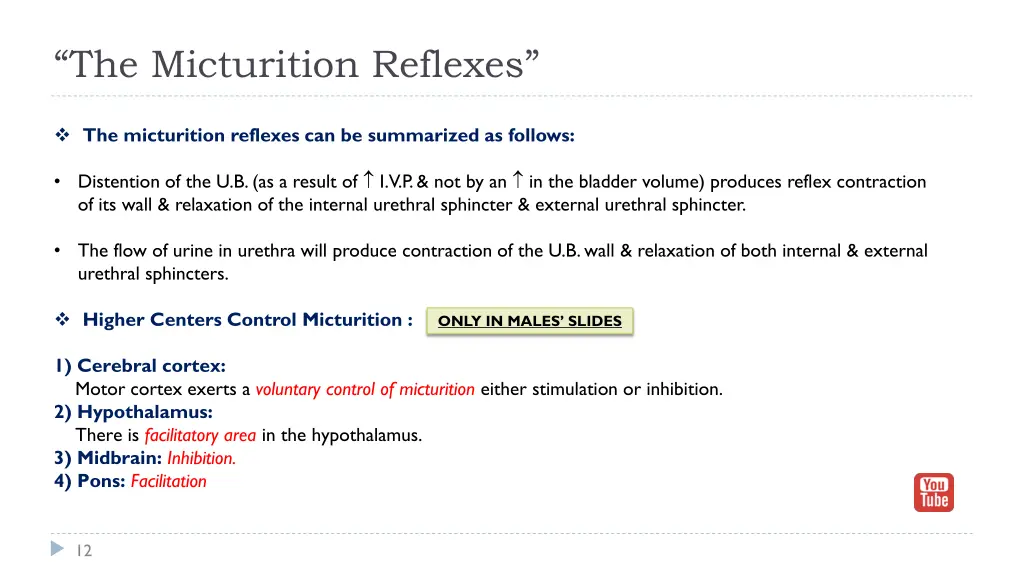 the micturition reflexes