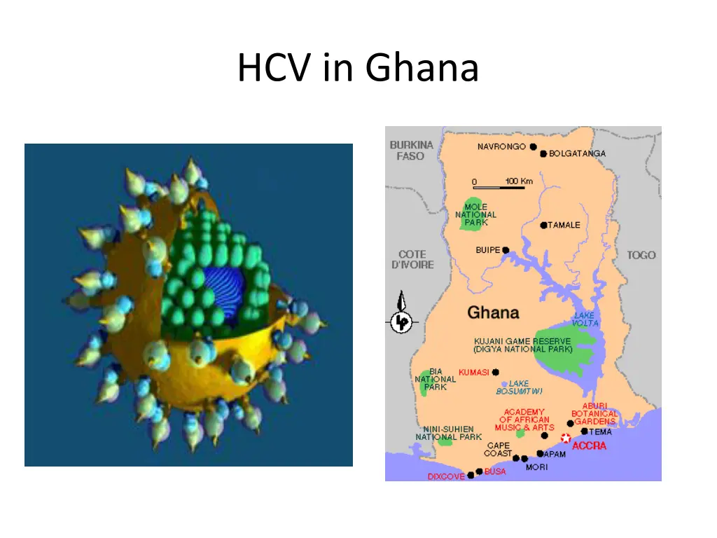 hcv in ghana