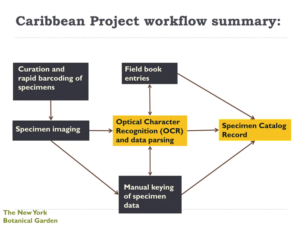 caribbean project workflow summary