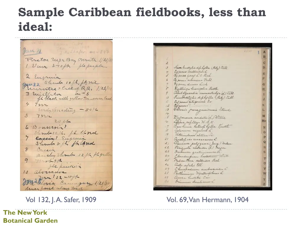 sample caribbean fieldbooks less than ideal