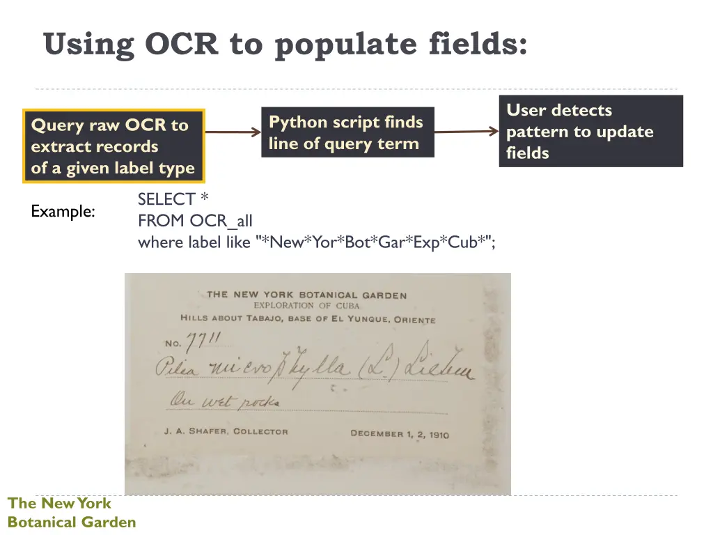 using ocr to populate fields