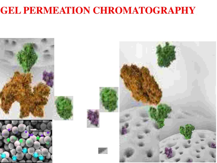 gel permeation chromatography