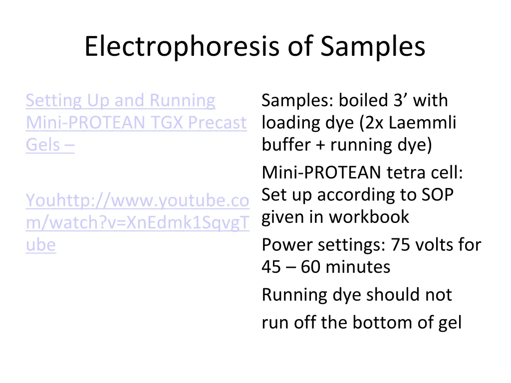 electrophoresis of samples