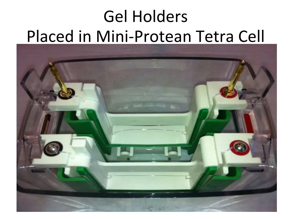 gel holders