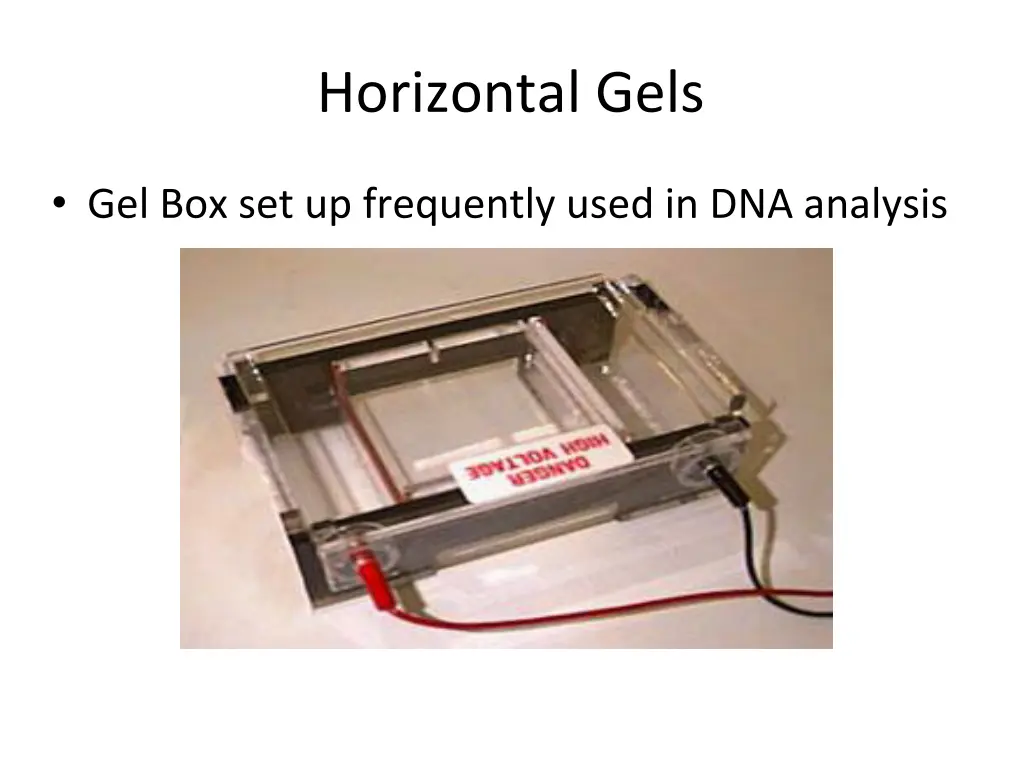 horizontal gels