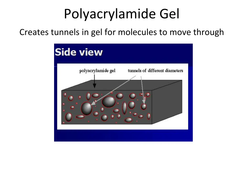 p polyacrylamide gel creates tunnels