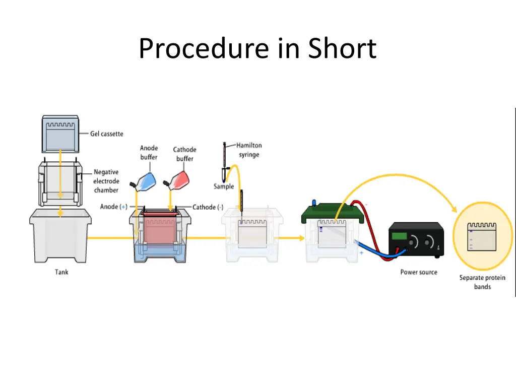 procedure in short