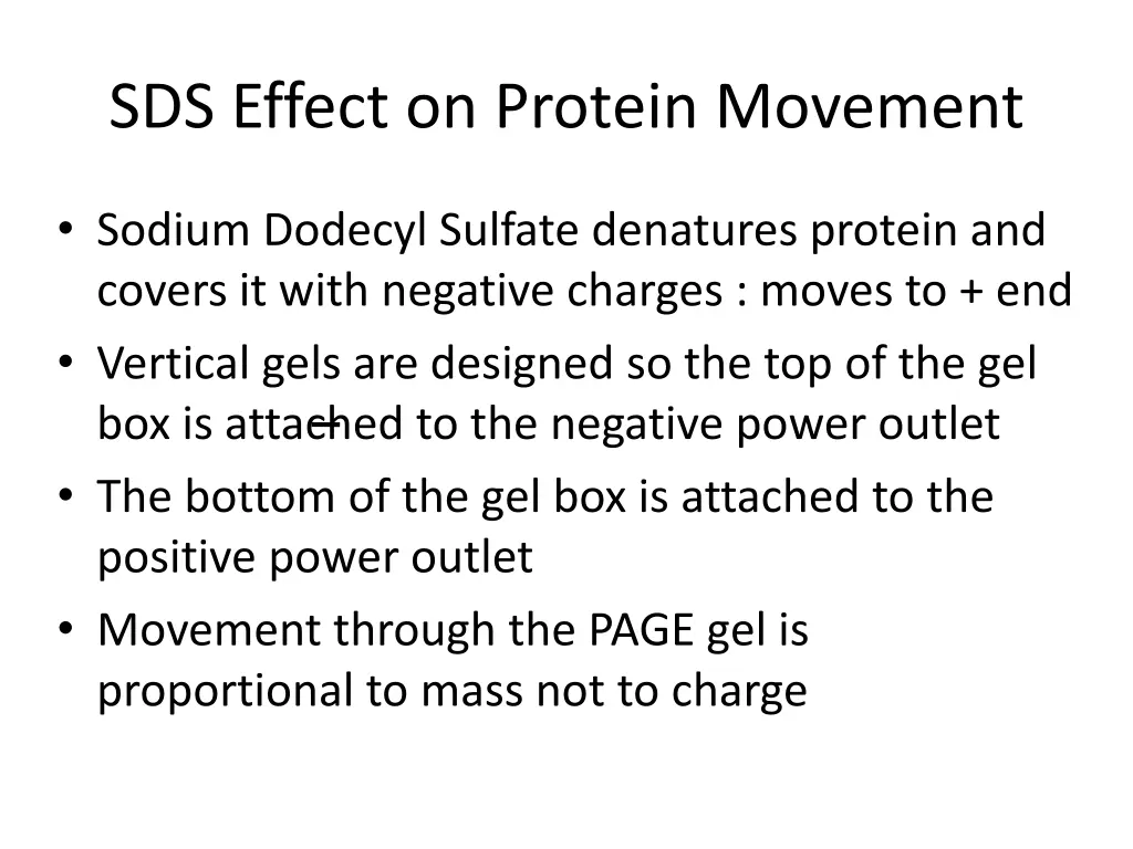 sds effect on protein movement