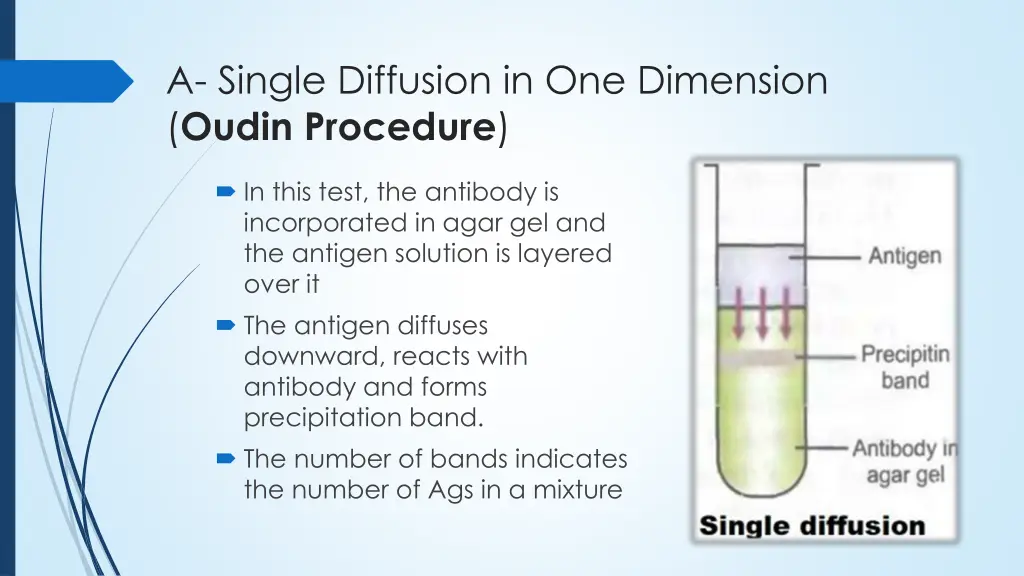 a single diffusion in one dimension oudin