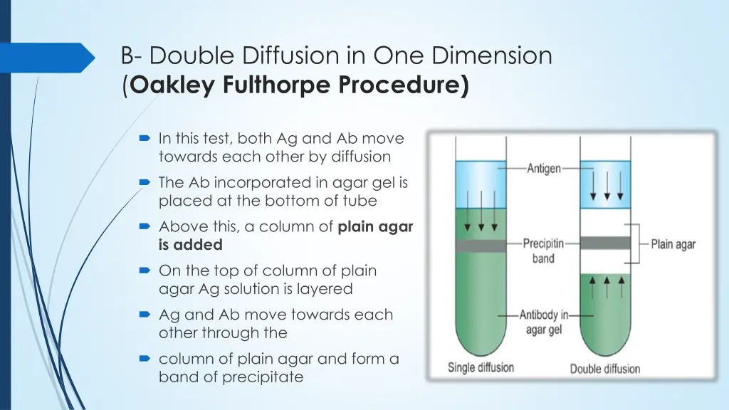 b double diffusion in one dimension oakley