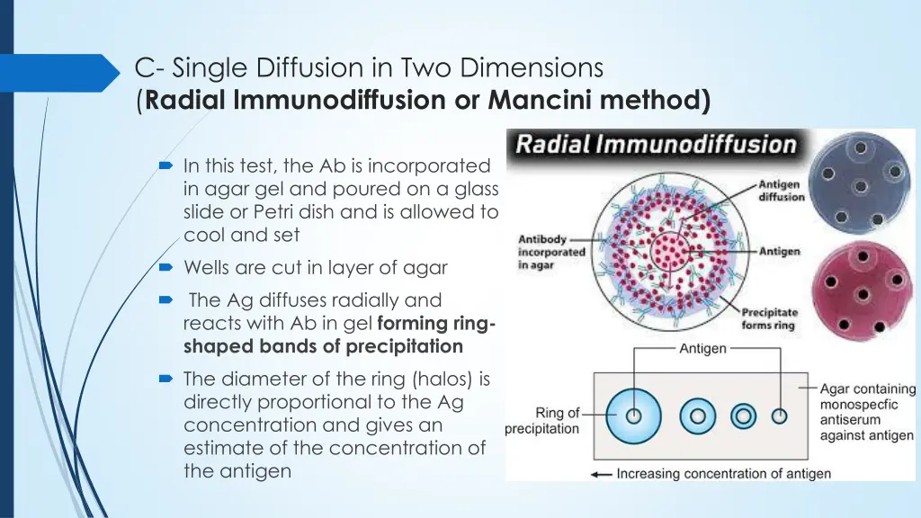 c single diffusion in two dimensions radial