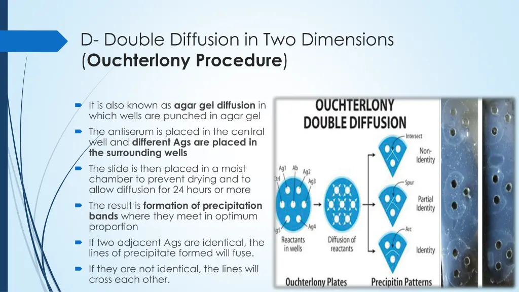 d double diffusion in two dimensions ouchterlony