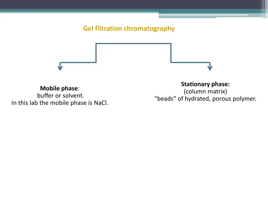 gel filtration chromatography