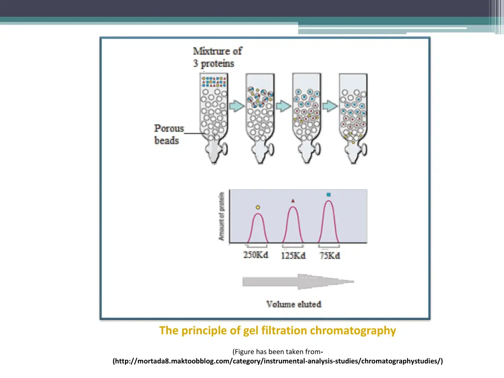 the principle of gel filtration chromatography