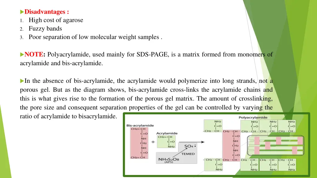 disadvantages 1 high cost of agarose 2 fuzzy